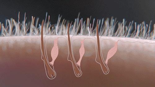 德国老太太用什么洗发水,93岁德国老太太