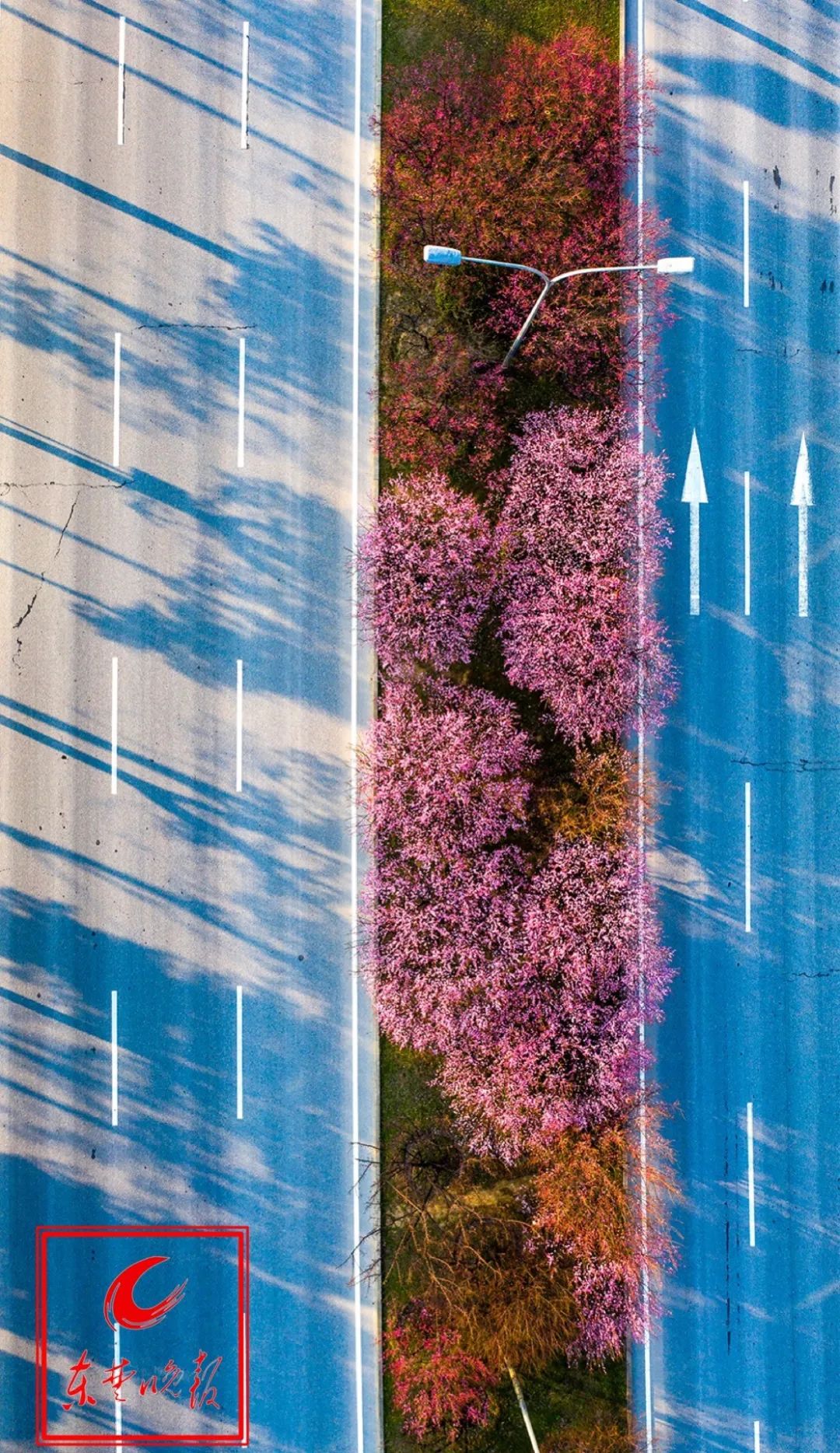 黄石封城最新视频,湖北黄石市封城了吗