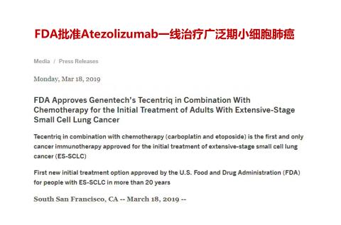 阿替利珠单抗最新报告,阿替利珠单抗sclc