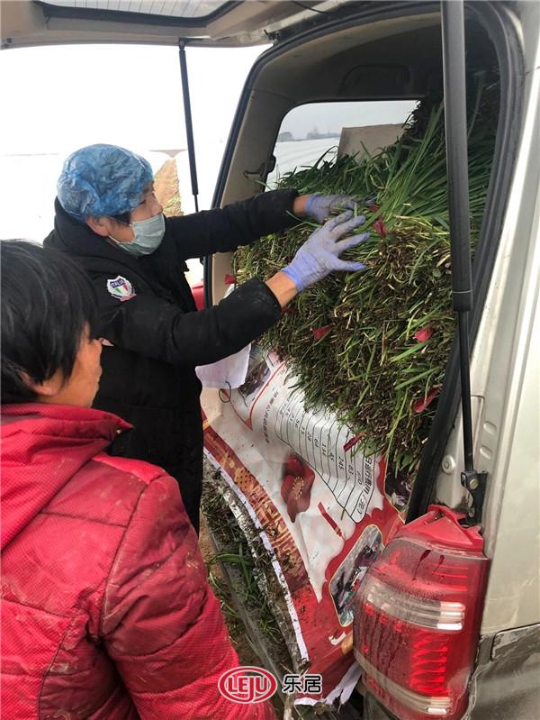 战“疫”有爱！忆通置业联手明迅传媒免费派送千斤菜