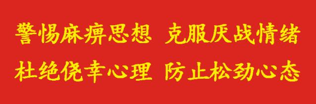 政府免费的蔬菜包,派出所发放蔬菜