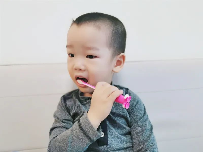 宝宝辅食坚果研磨器,婴幼儿乳牙清洁神器有用吗