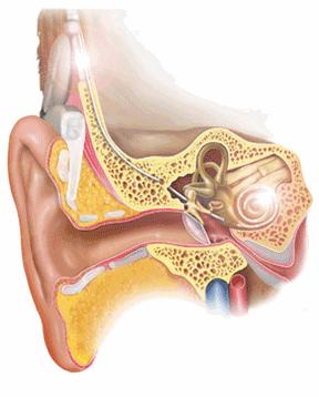 无锡又出台好政策!补贴和救助执行细则明确