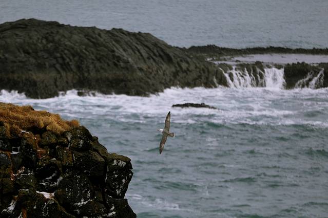 世界尽头冰岛极光图片,去冰岛看冰与火之歌