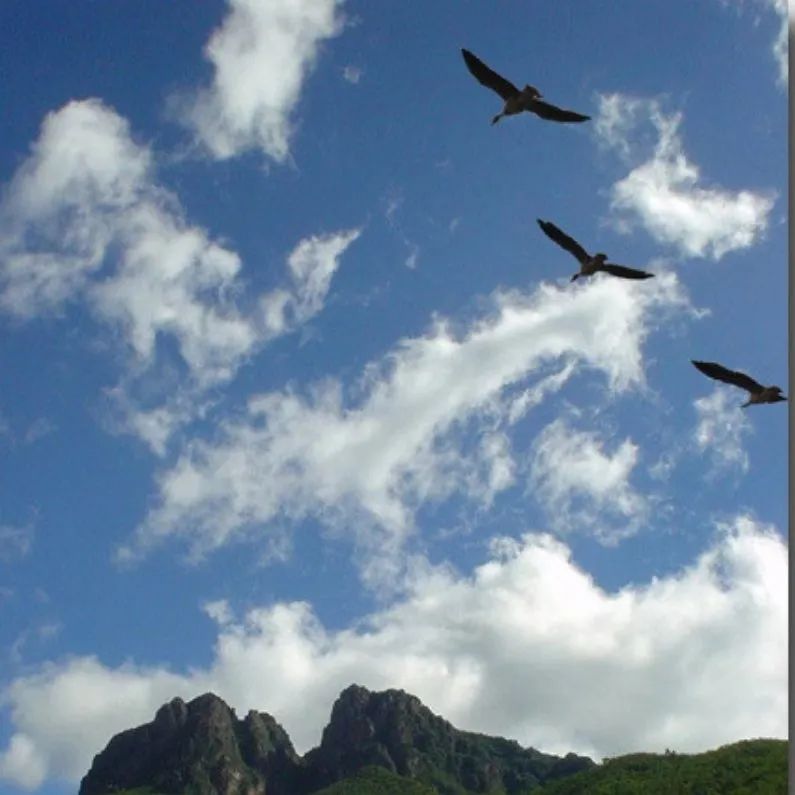 疫情下的38度朋友圈,微信朋友圈38条