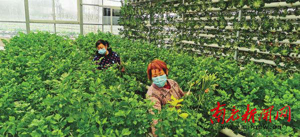 正值春季防疫工作的关键时期,备春耕抓防疫生产防控两不误