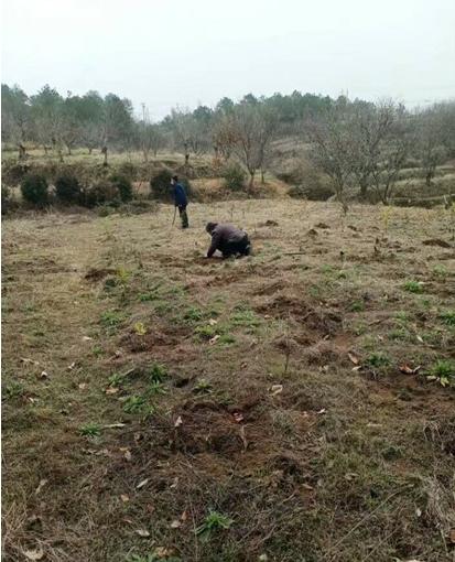 人勤春来早返岗复工忙,人勤春早春耕备耕