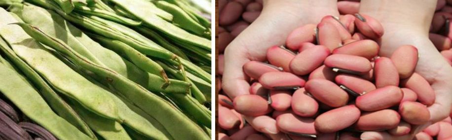 口罩去口臭的好物,口罩如何防口臭