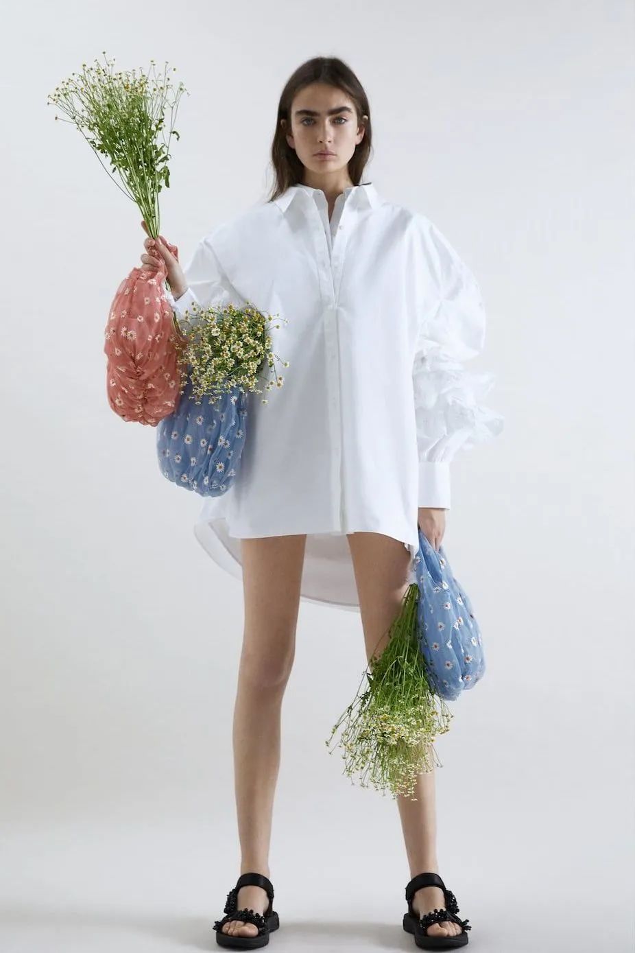 种草时间和方法,种草预算