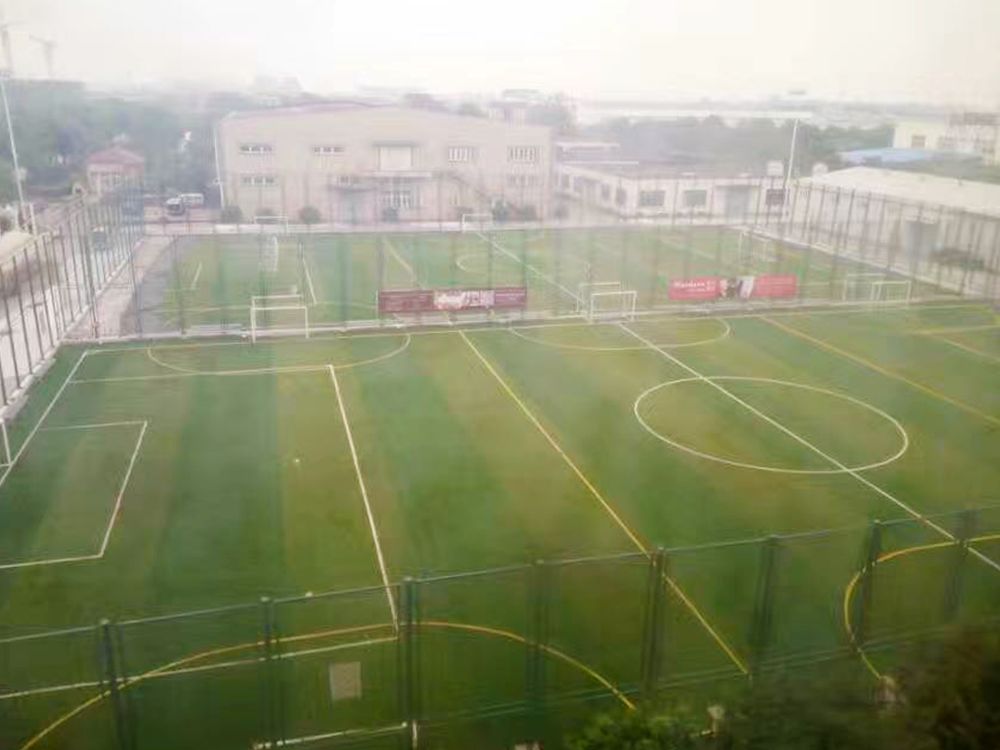 好消息太仓,太仓体育馆最新消息