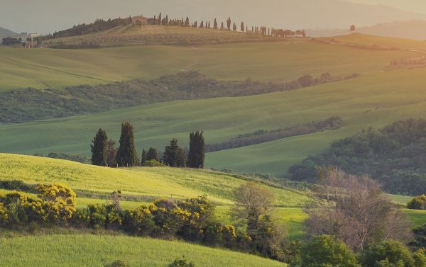 一瓶柑橘香,伴你入睡、助你好眠