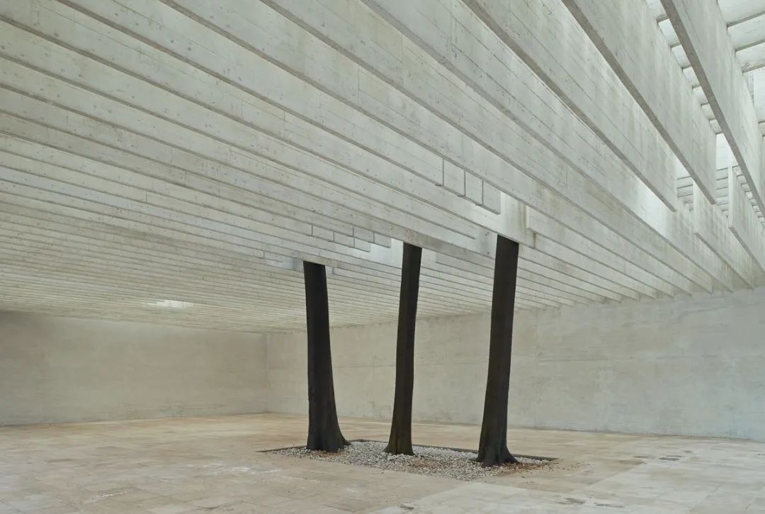 一年一度的植树,现在正在植树的视频