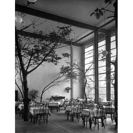 一起来植树的视频,今天适合植树吗