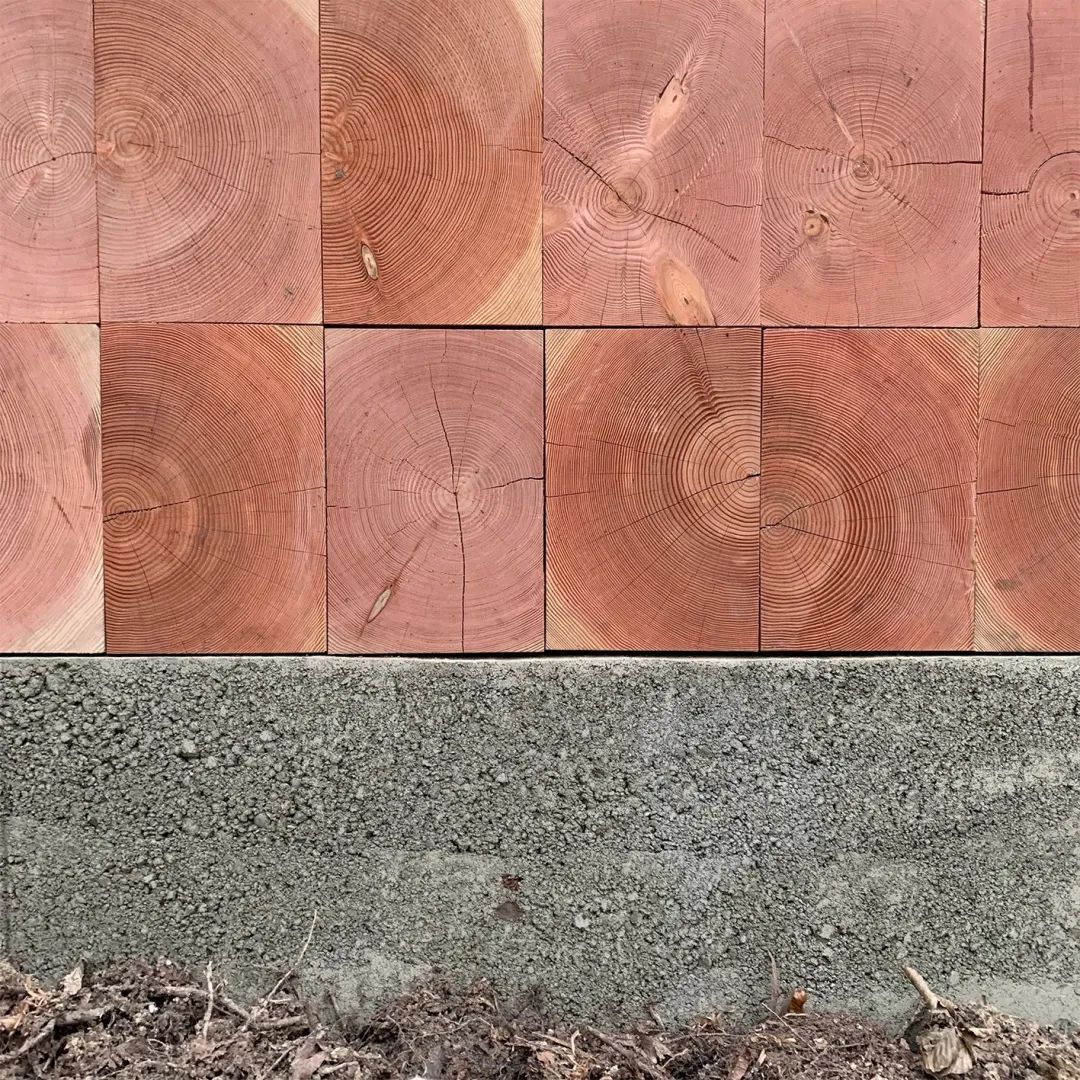 一年一度的植树,现在正在植树的视频