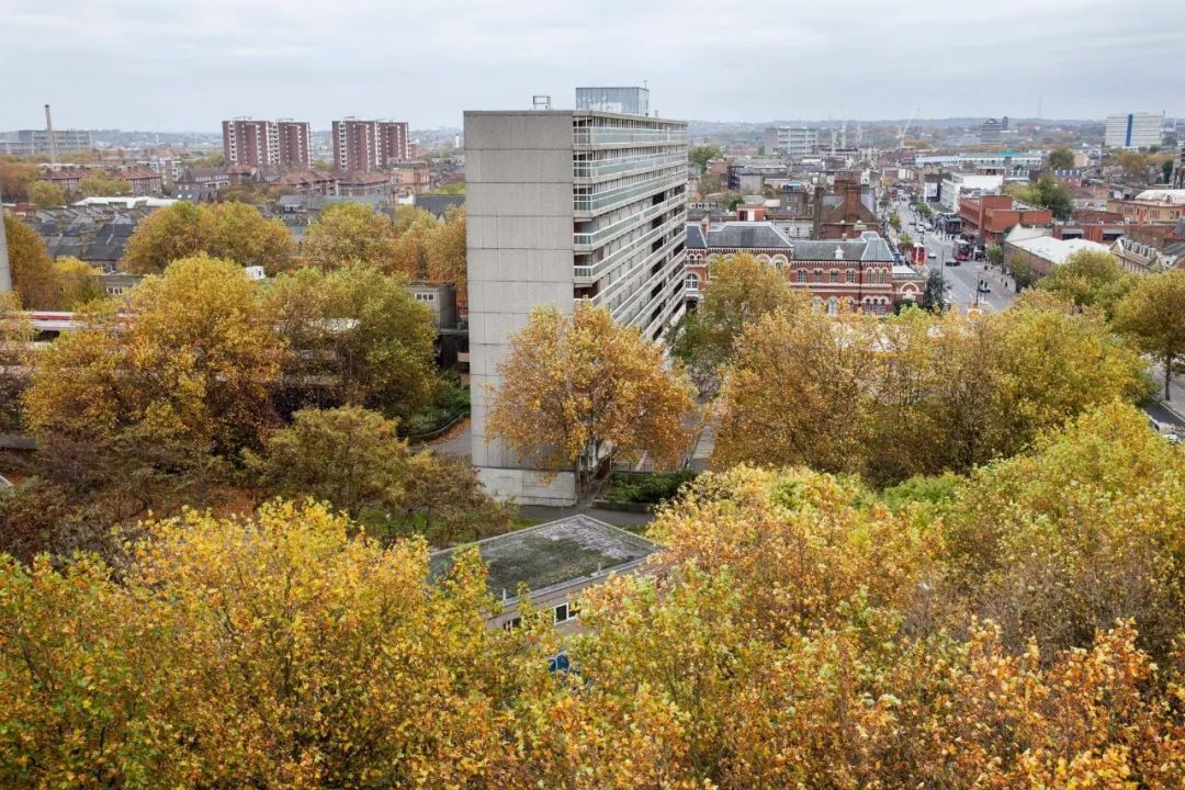一年一度的植树,现在正在植树的视频