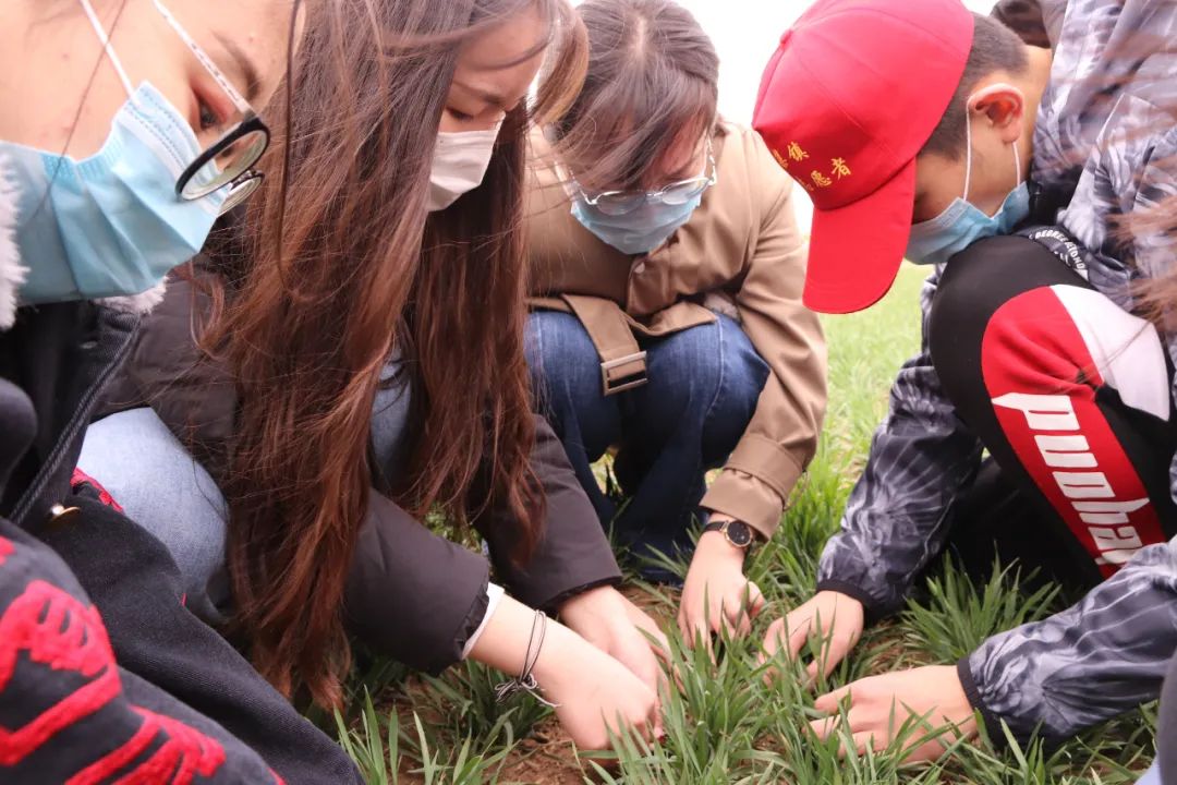 鏄ユ殩鑺卞紑蹇欓噷鍋烽棽,鏄ユ殩鑺卞紑蹇欎腑鍋烽棽