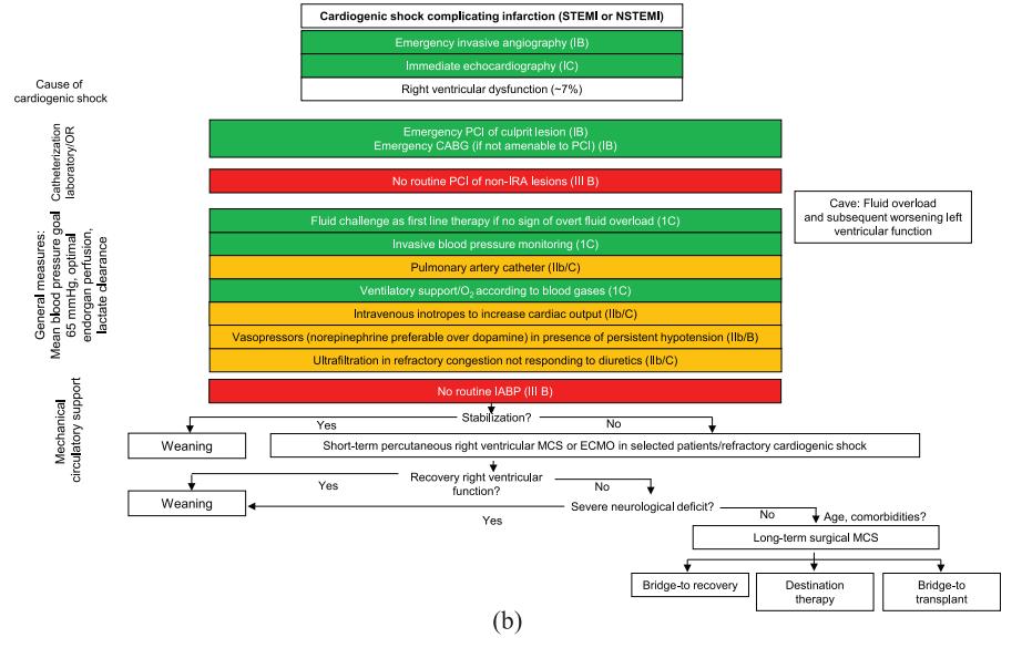 心梗引起的心源性休克,急性心梗合并心源性休克