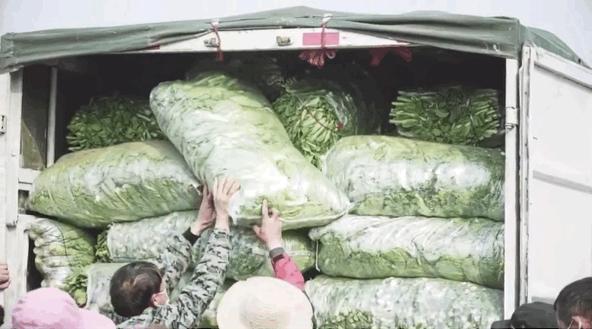 从专业团队到手机直拍的“武汉”，他们都在记录和传递真与信