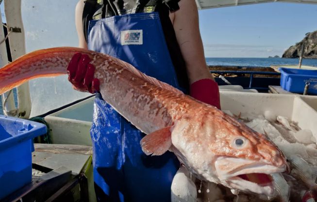 不整容不医美人真的会变吗,不整容的自然美人才是真正的美女
