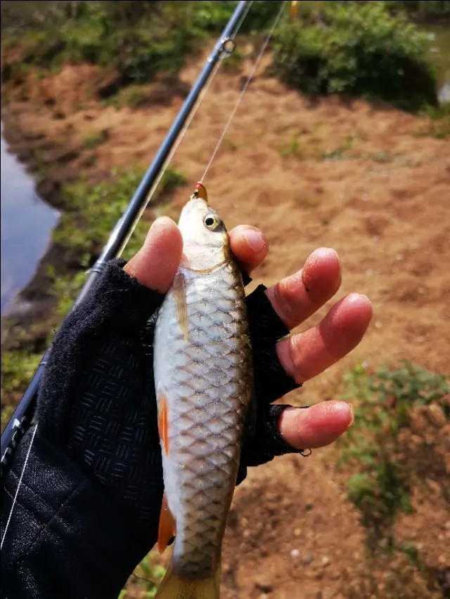 路亚一步到位还是循序渐进好,摸索反思