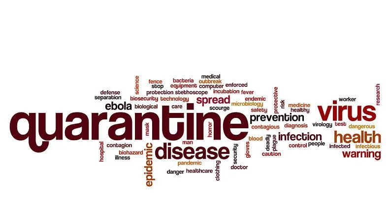 译林英语使用方法,译林怎么译