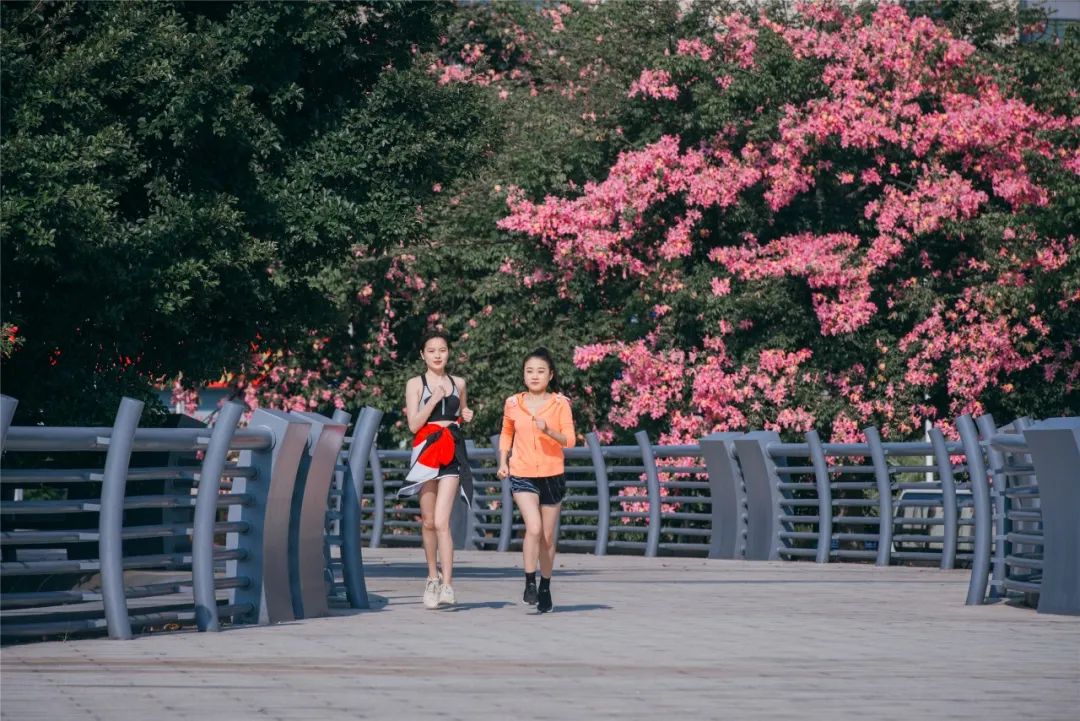 福州新盘跌得最惨的楼盘,福州楼市会再次走热吗