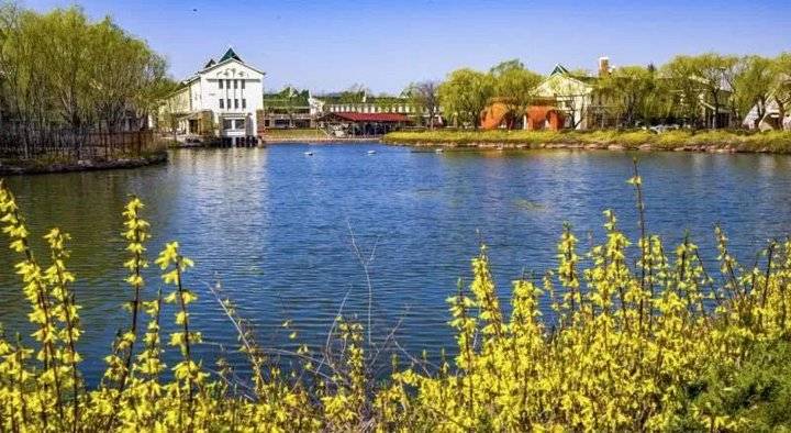 山东省景区免门票政策最新,山东省超9成5a级景区恢复开放