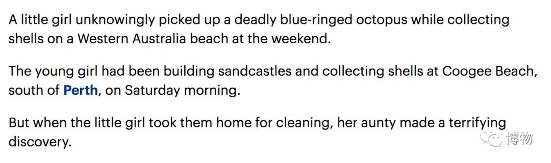 蓝环章鱼为了你到底付出了什么,蓝环章鱼日常