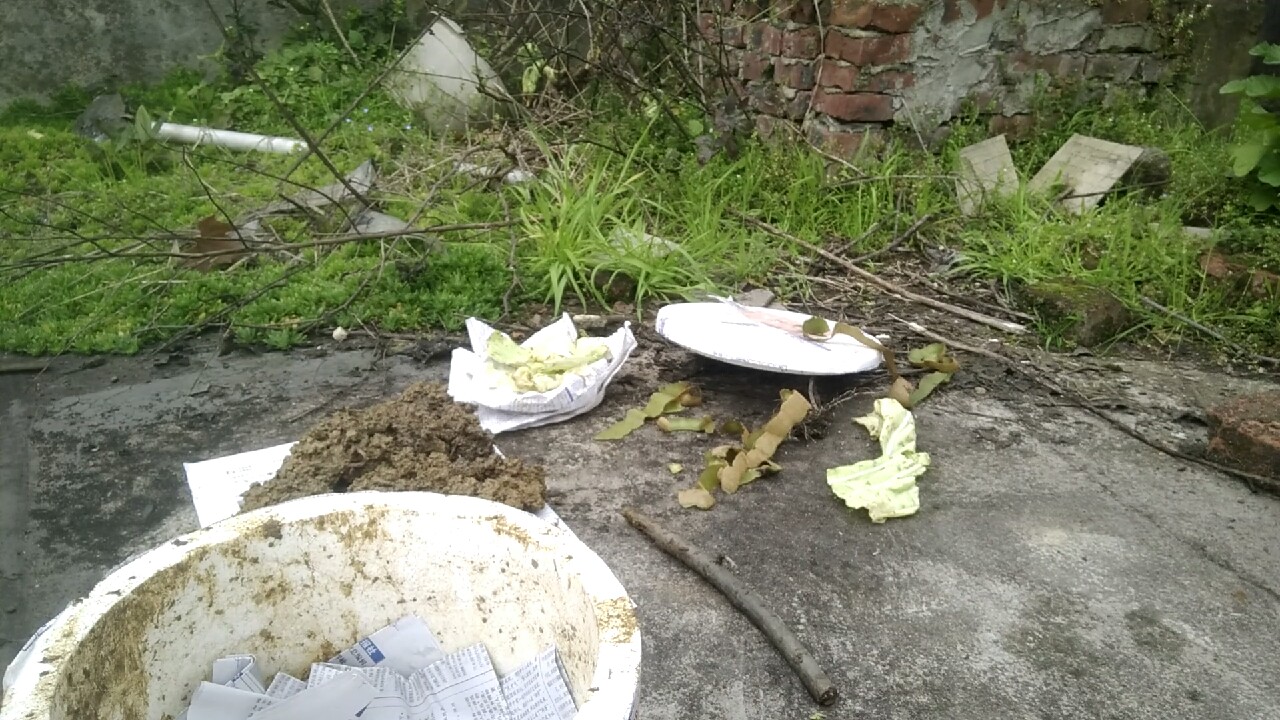 自制养蚯蚓神器,自制鱼饵神器大全