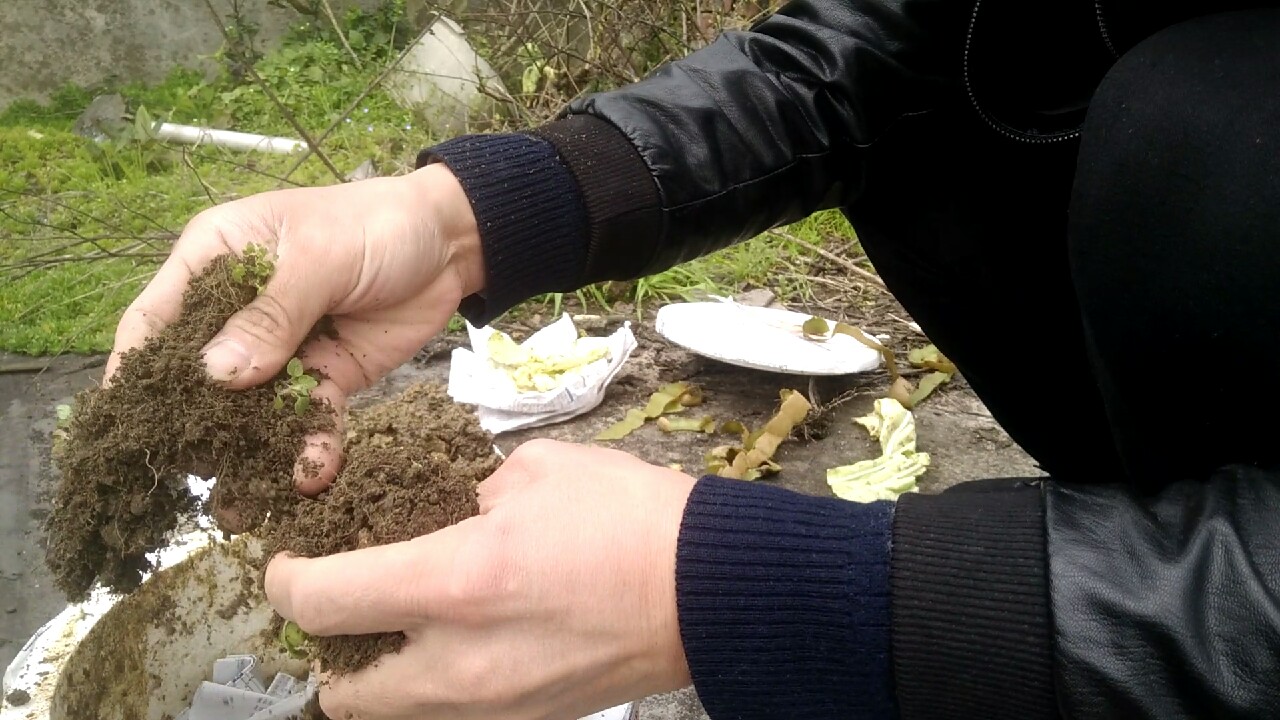 自制养蚯蚓神器,自制鱼饵神器大全