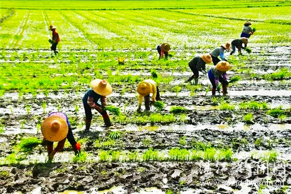 徐闻党建活动,徐闻党建招牌