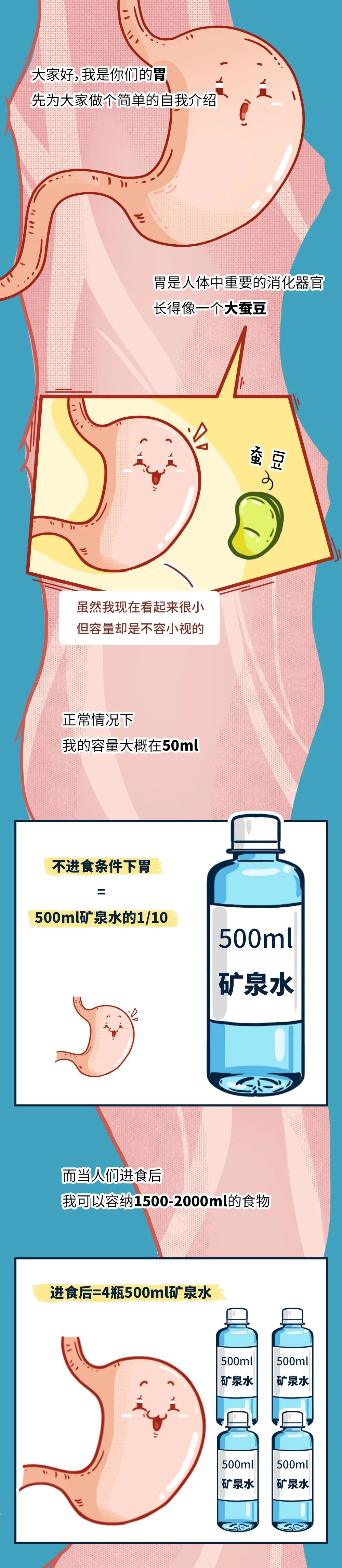 护胃科普漫画,胃的动画科普