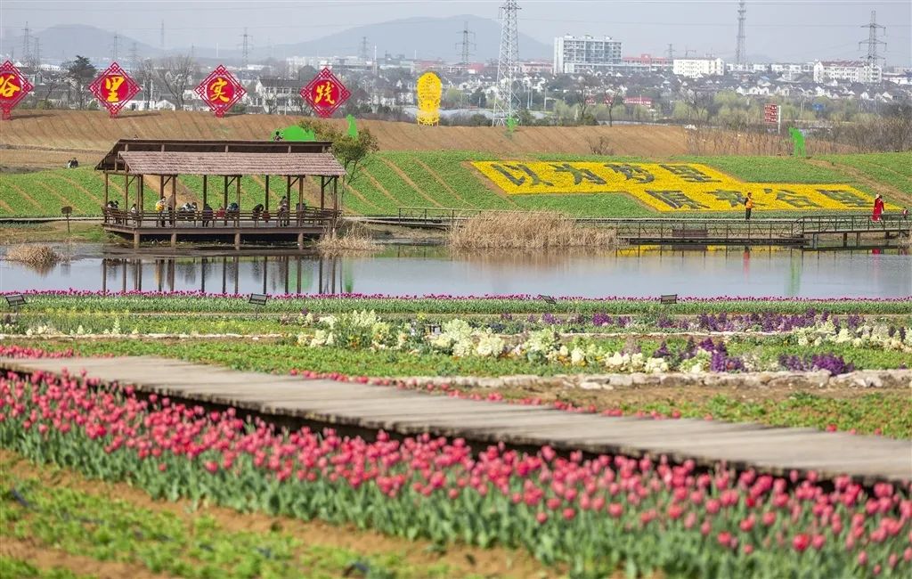 南京赏花地图请收好,江宁赏花好去处