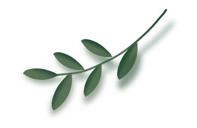 活动即将结束，明天将抽取最后一个特等大奖！