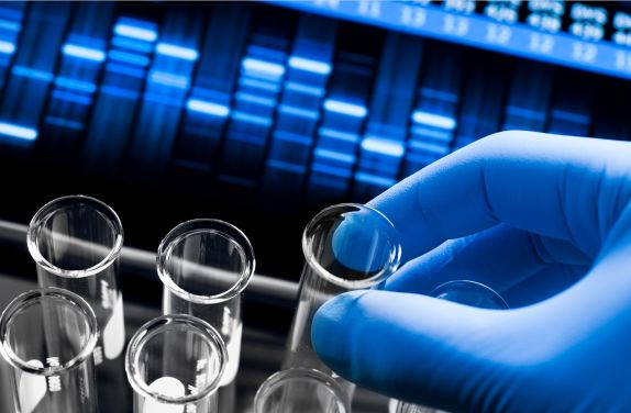 健康码基本实现全国通行；我科学家精准“删除”动物特定记忆丨科技早新闻