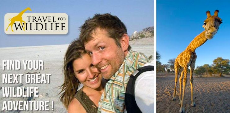 全国头部网红大盘点,世界各地旅游的网红