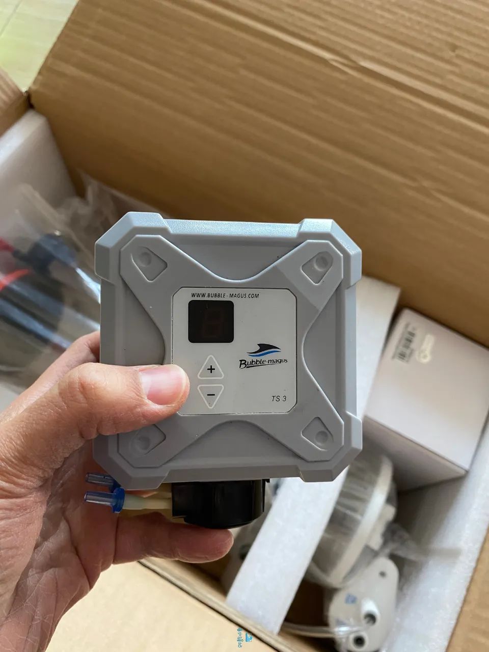 2020款,BM第3代钙反实测