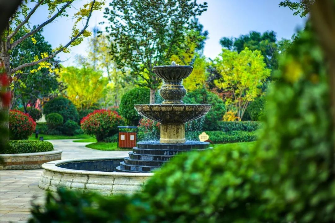 14年耕耘,9家房企驻扎,洞林湖迎来高光时刻