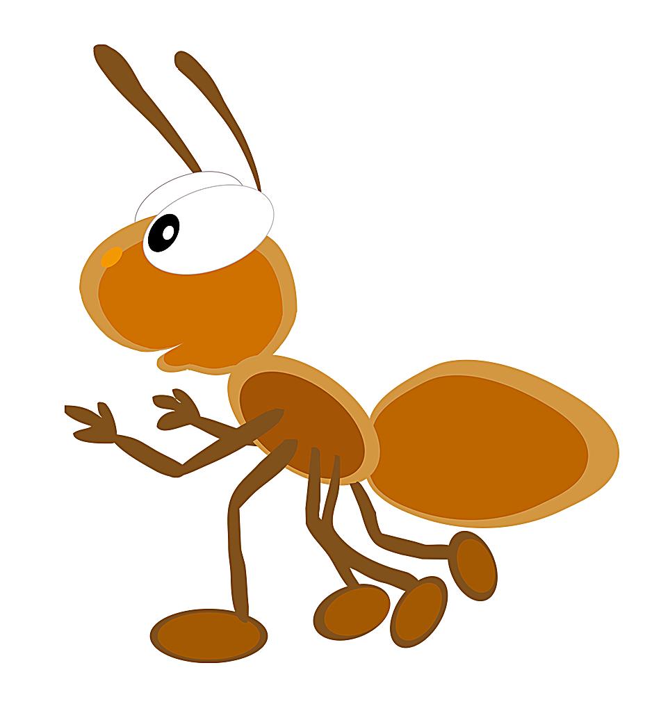 成都白蚁防治中心24小时电话,白蚁预防联系电话