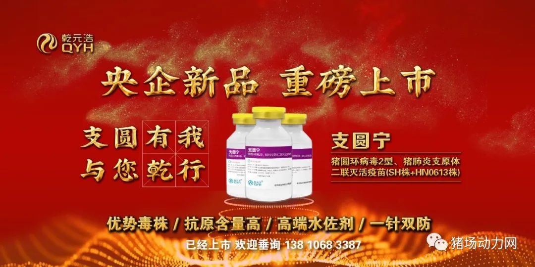 抗疫情守初心助扶贫担使命,乾元浩丁向东最新消息