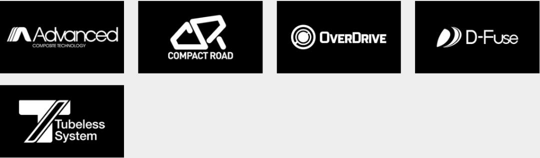 10款捷安特公路车,10款捷安特