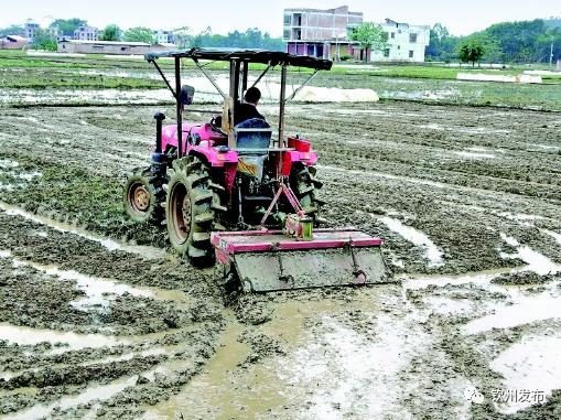 钦州市第一季度经济运行,钦州市2023前三季度经济