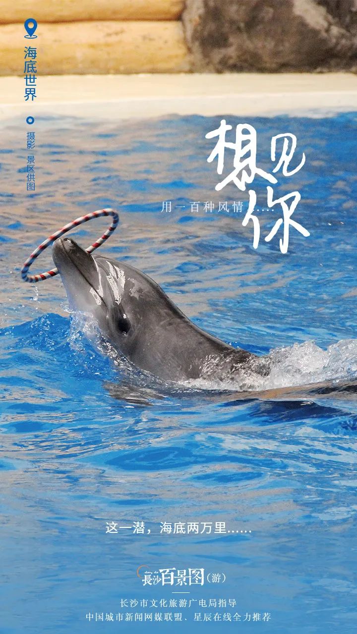 十条绝美的长沙自驾游路线,长沙周边3-4天攻略最佳线路