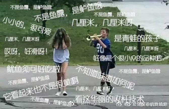 动森能钓黑鲈鱼吗,动森黑鲈鱼出现时间