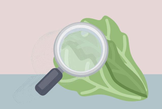 辟谣特工队|路边的野菜～不要采