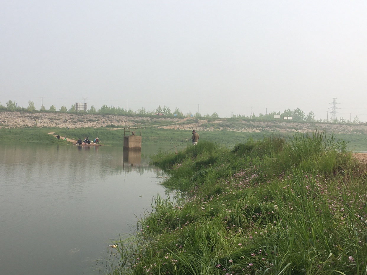 锵锵三人行余秀华读诗,锵锵三人行马未都邓亚萍