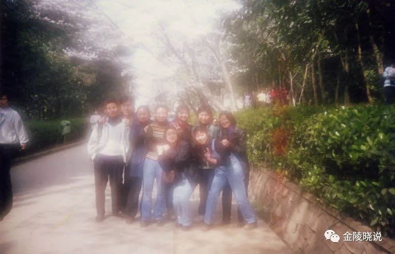 中南往事的故事,中南往事2019