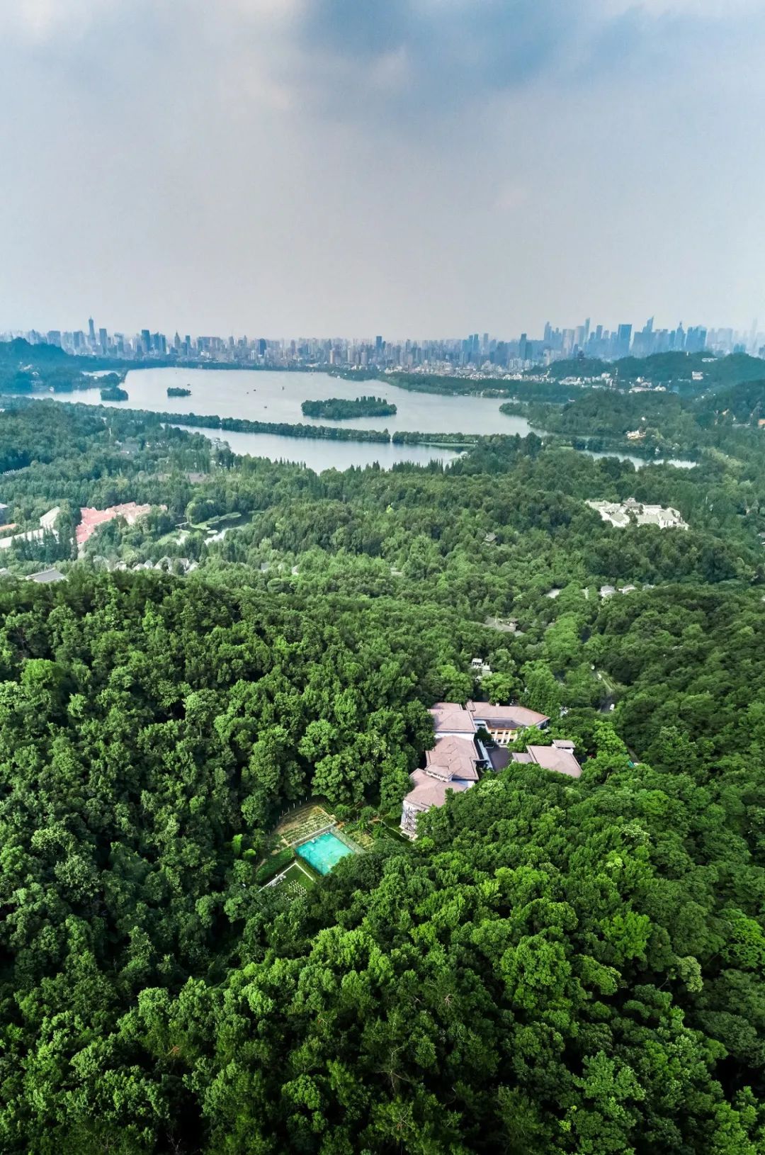 且听风吟且看花开,且听风吟看花开