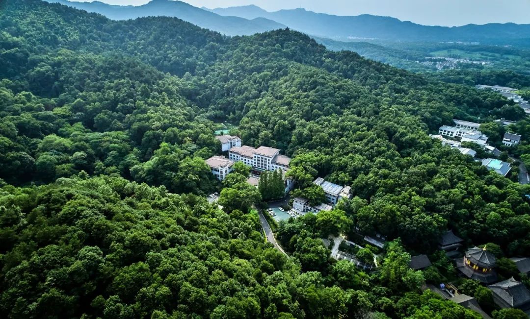 且听风吟看花开,且听风吟且看花开