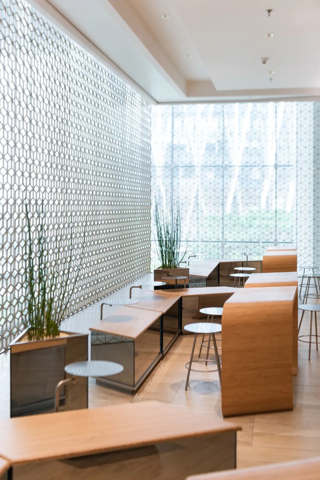 深圳奶茶多少钱一杯,深圳富豪茶餐厅